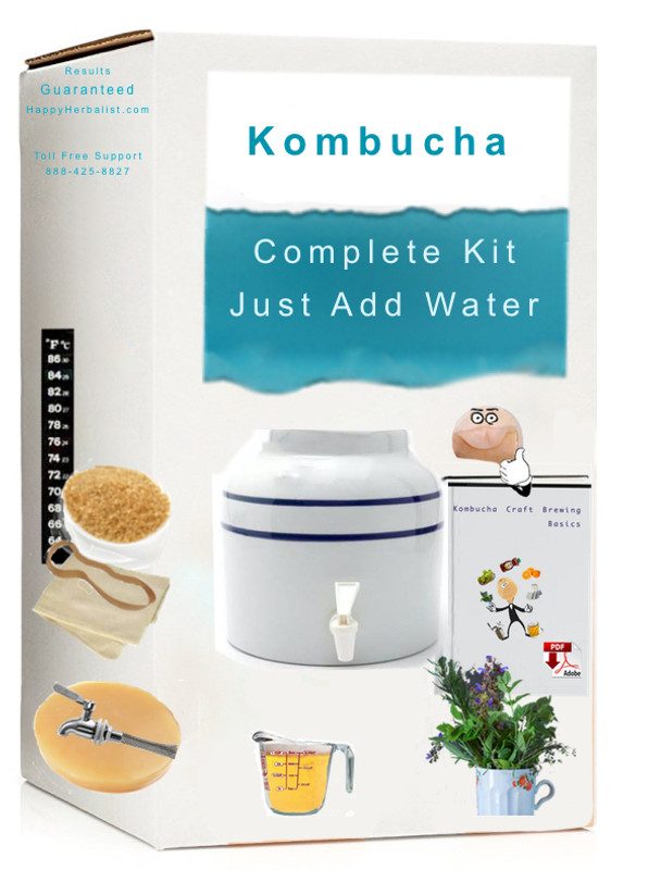 Best Thermometer Choices for Kombucha Brewing