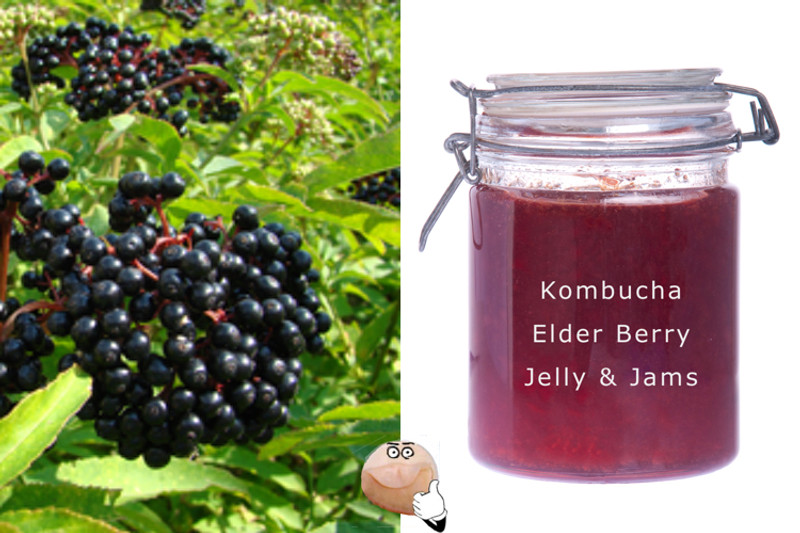 Natural Probiotic Medicinal Jelly - ElderBerry