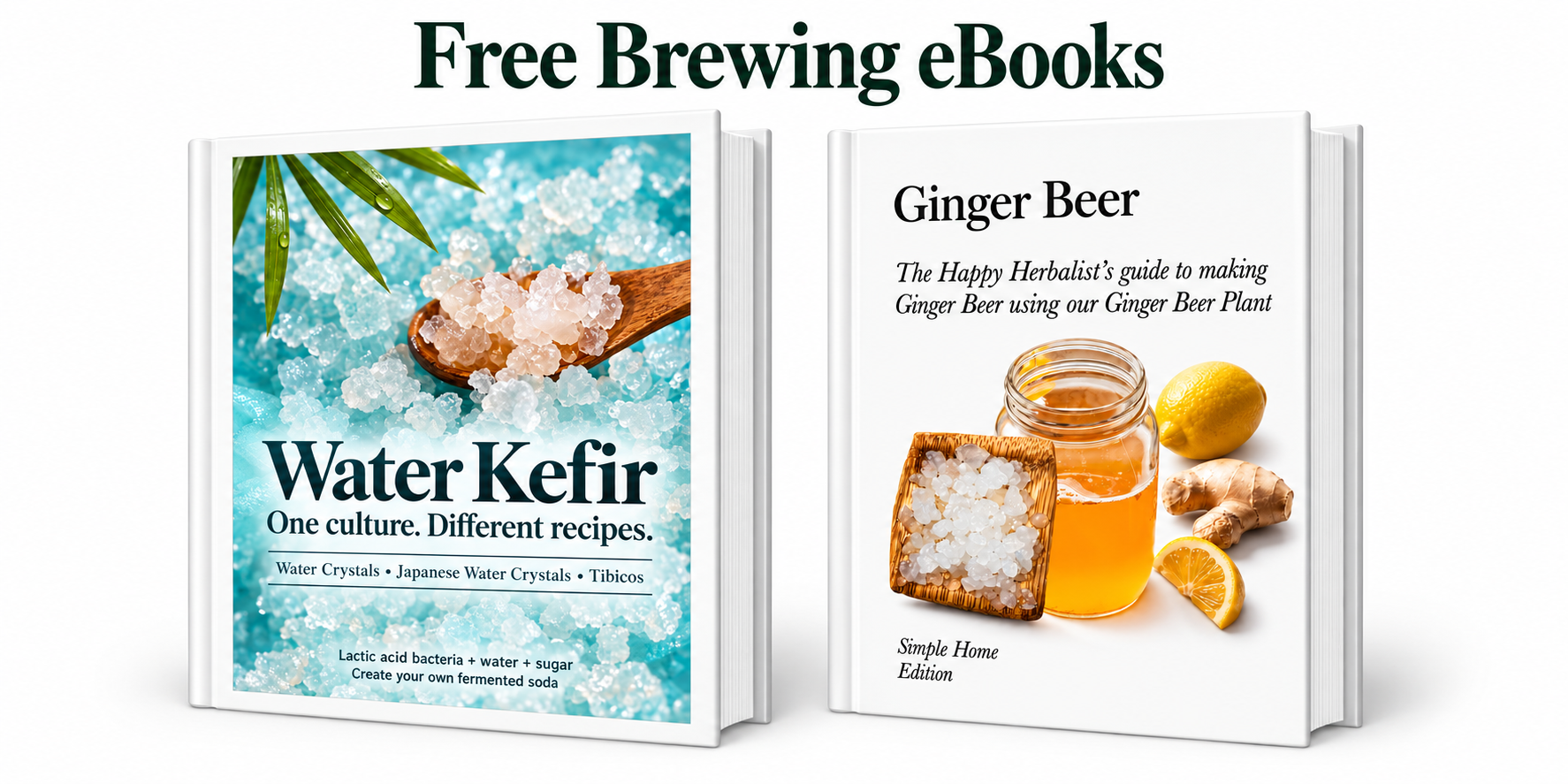 book-free-probiotic-soda-book-by-happyherbalist-est-1997-.png book-free-probiotic-soda-book-by-happyherbalist-est-1997-.png