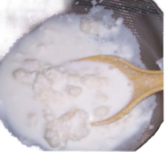 kefir-on-wood-spoon-by-happyherbalist.jpg