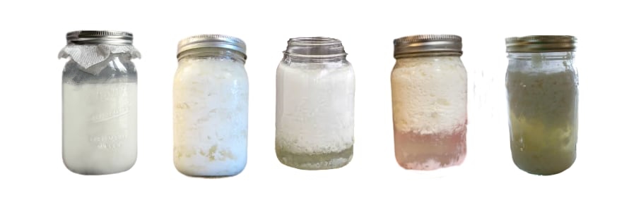 kefir-to-curds-to-whey-how-to-know-when-your-kefir-is-ready.jpg