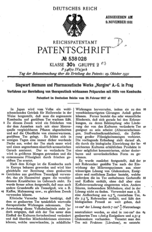 kombucha-patent-page-1.jpg