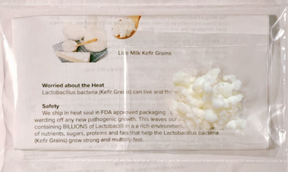 live-milk-kefir-grains-shipped-by-happyherbalist.jpg