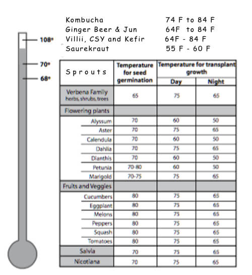 thermostat-temperature-recommendations-for-kombucha-ginger-beer-jun-csy-kefir-and-sprouts.jpg