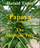 PapayaThe Medicine Tree and Kombucha go Super TogetherNatural Healthy Probiotic. 