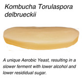 Kombucha Mushroom Culture Torulaspora delbrueckii is a unique aerobic yeasts that produces less alcohol and less residual sugar with a hint of a German Wheat Beer. 