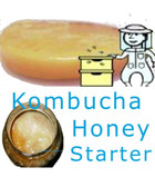 Kombucha Honey Ferment. Get Started Today. 