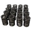 1.550 Dual Valve Springs .812 ID 16pk (HRC98543)