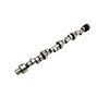 Pontiac V8 Hyd Roller Camshaft RF-V294HR10 (LNT20510713)