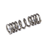 Mechanical Fuel Injection Springs