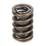 Valve Springs and Components