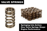 Springing Into Action: How Valve Springs Shape Engine Performance