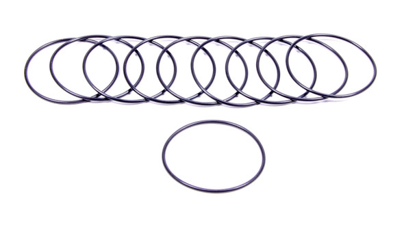 Filter O-Rings (10) (AFS12001)