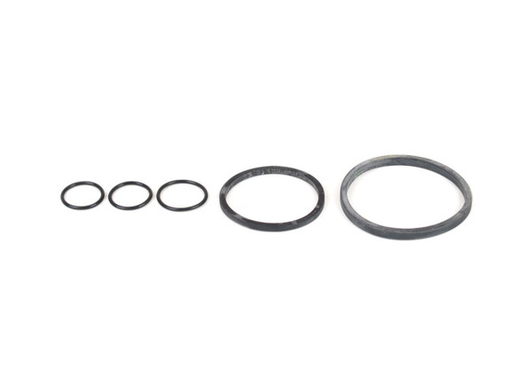 O-Ring Kit For 22-595 (CAN98-004)