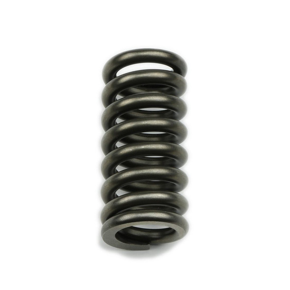 Reverse Servo Spring (COA22043)