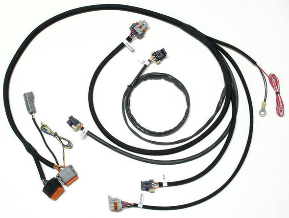 SmartSpark LS2/LS7 Remote Mnt Wire Harness (DAY119005)
