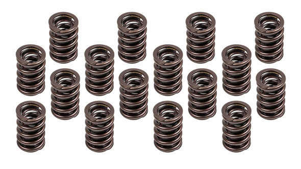 1.460 Valve Spring Set 16 (EDE5845)