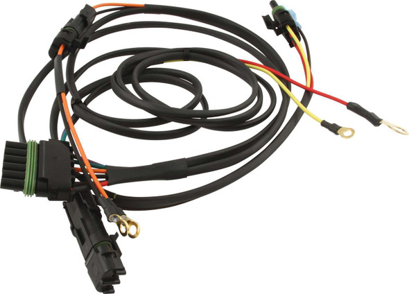 Ignition Harness Single Box (QRP50-2031)