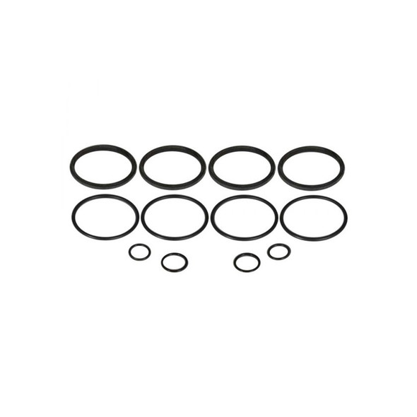 O-Ring Kit - for Early Strange 4-Piston Caliper (STGB5105)