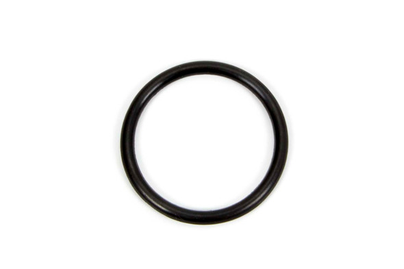 O-Ring Piston (WIN67482)