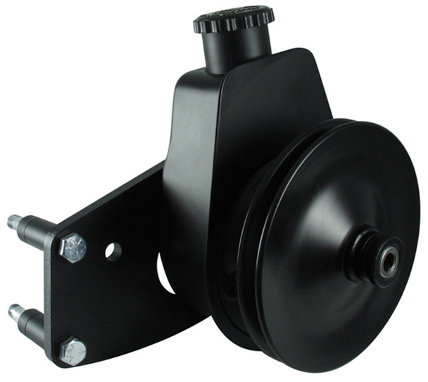 P/S Pump Bracket and Pulley (BRG800330)
