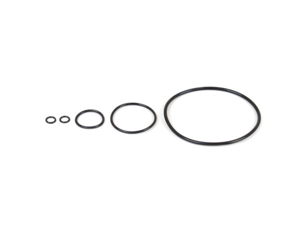 Replacement O-Ring (CAN98-002)