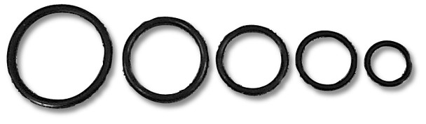 #16 O-Ring (EAR176016ERL)