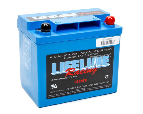 Power Cell Battery 7.71 x 5.18 x 6.89 (LFBLL-1236TB)