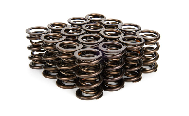 1.650 NexTek Dual Valve Springs (MAN221454-16)