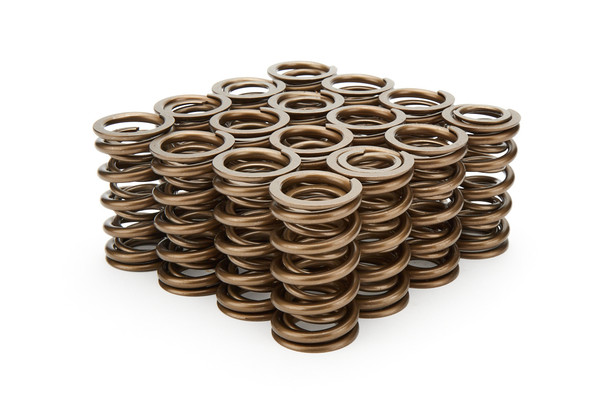 1.374 Dual Valve Springs - (16) (PACPAC-1371)