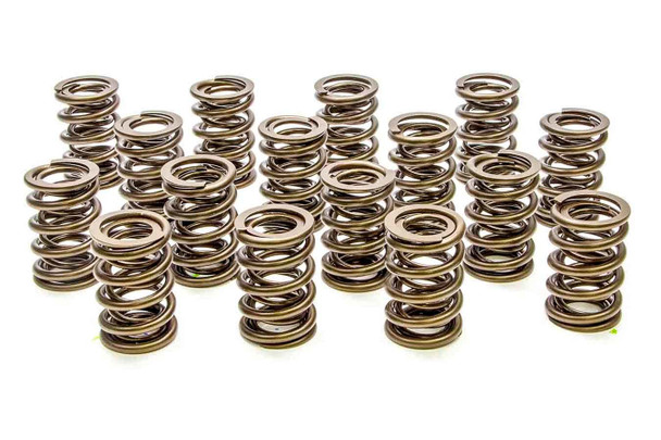 Valve Springs - HR Series (16) (PACPAC-1904)