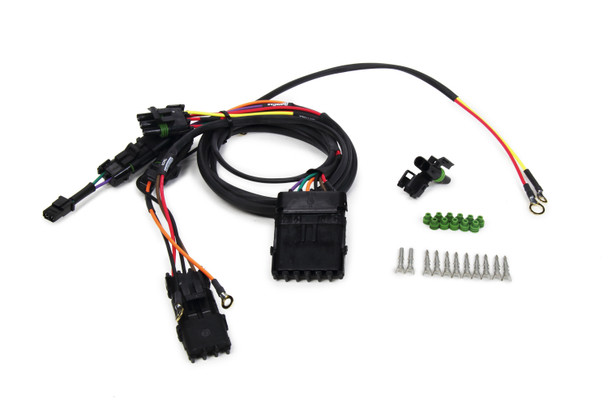 Wiring Harness Modified Single Box Weatherpack (QRP50-2033)