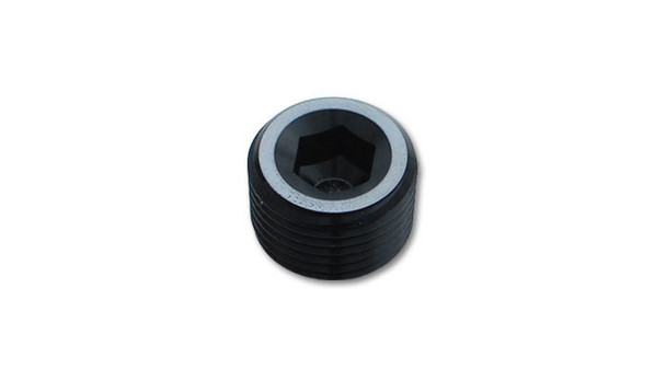 Socket Pipe Plug 1/4in NPT (VIB10491)