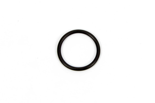 O-Ring For Inspection Plug (WIN7454)