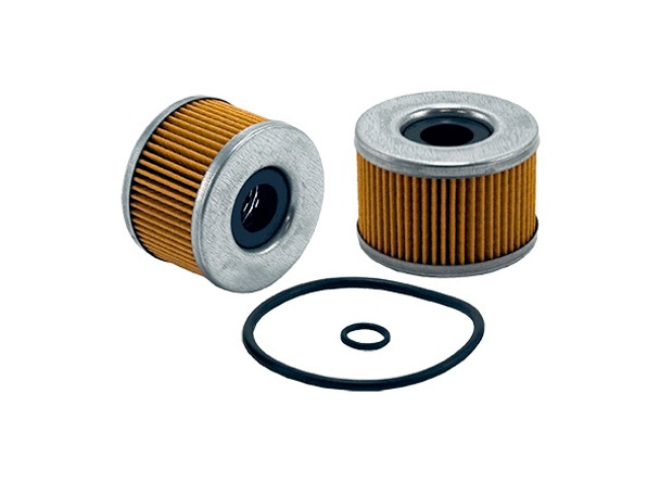 Metal Canister Filter (WIX24938)