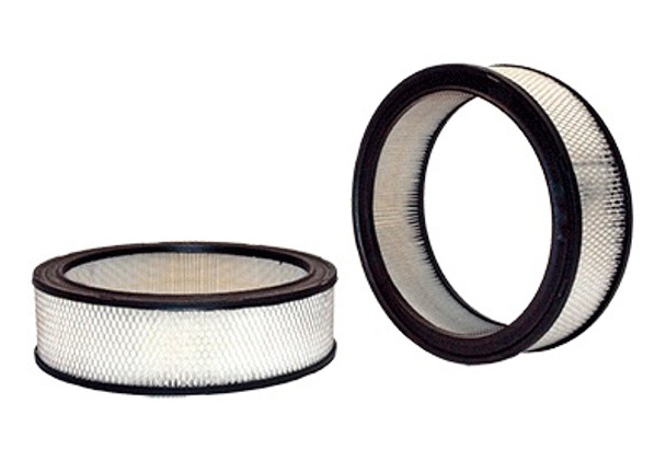 Air Filter (WIX42098)