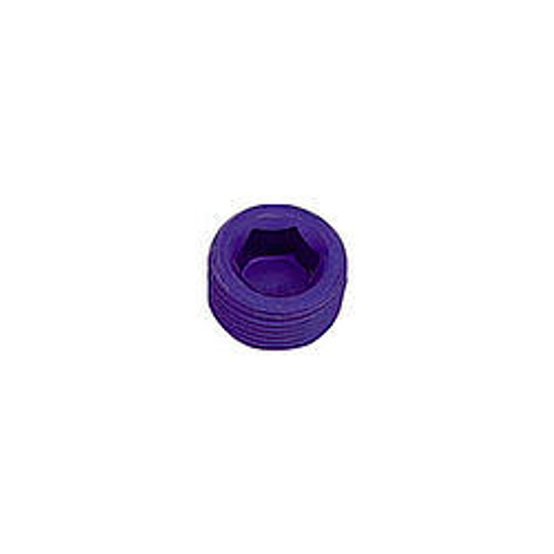 1/8in Allen Head Pipe Plug (2pk) (XRP993202)