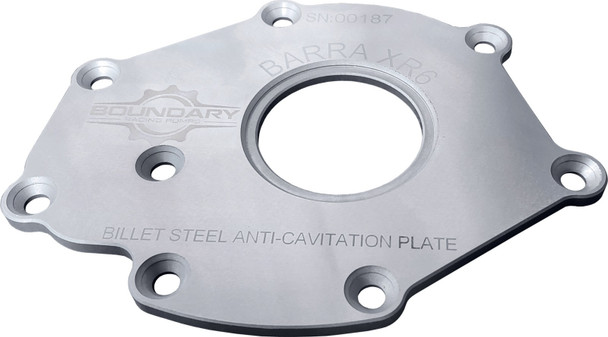 Billet Back Plate  Ford Barra XR6 2012-2016 (BOPBA-BBP)