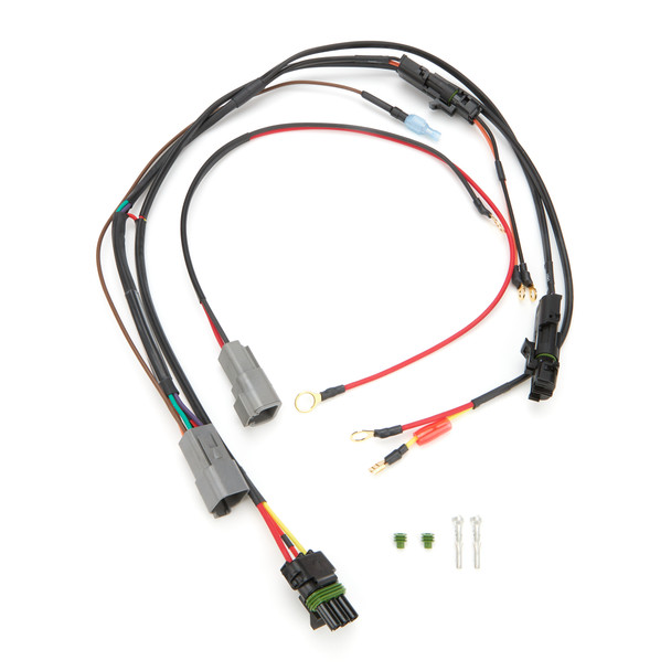 Single Ignition Wiring Harness NE Modified (QRP50-2038)