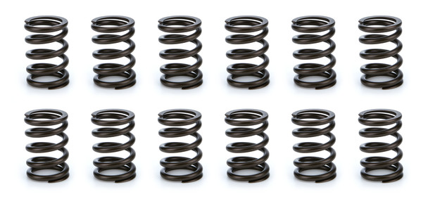 Valve Spring Set  (COM26903-12)