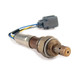 Oxygen Sensors, Controllers and Components