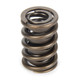 Valve Springs and Components