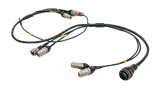 Competition Wiring Looms