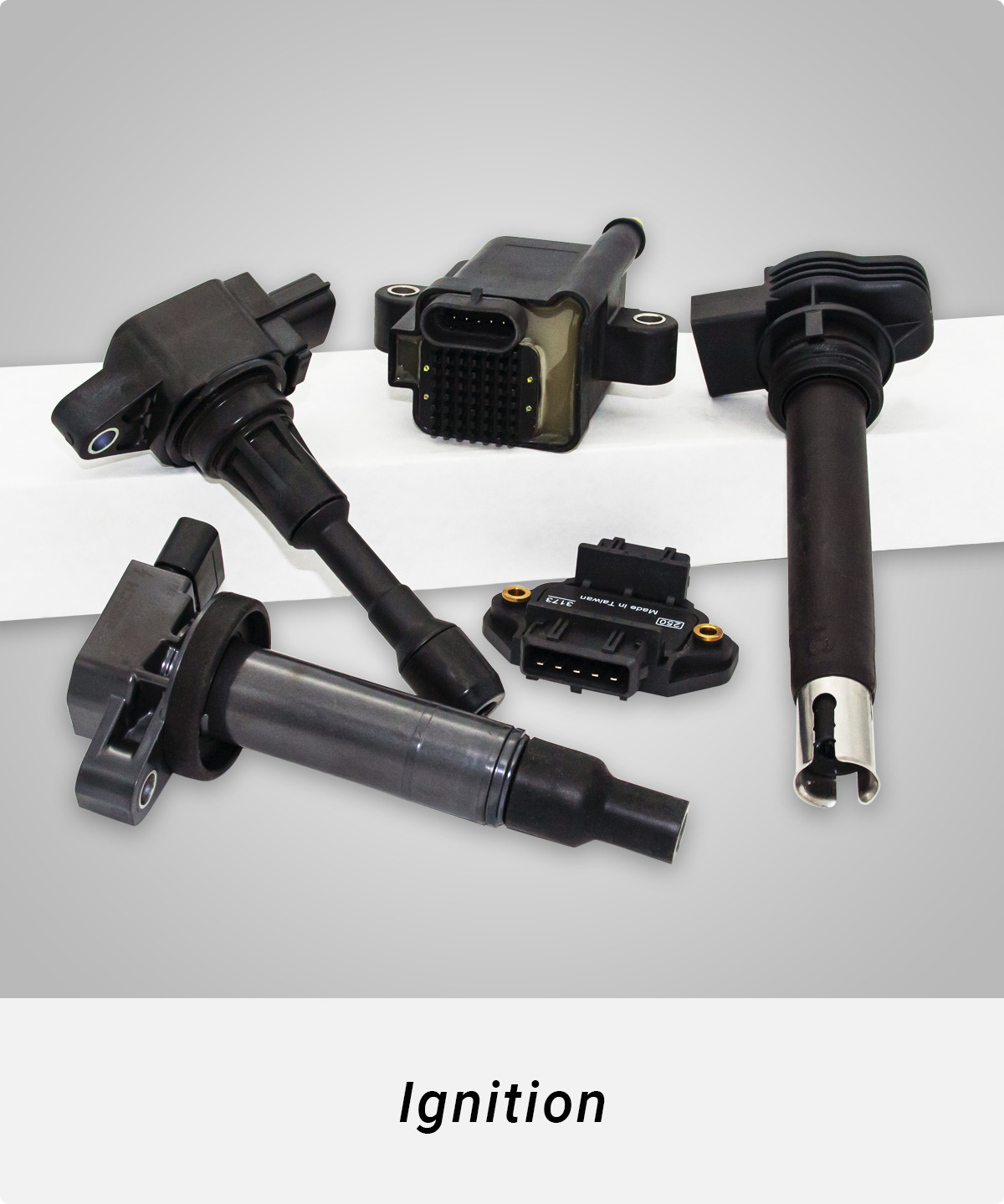 Ignition Coils, Expansion Units, CDI units, ignitors and ignition Accessories at MSEL