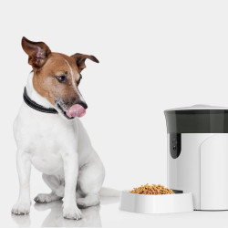The Surge in Pet Ownership Drives Demand for Smart Pet Technology