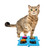 Cat pressing a talking button positioned in a blue Tech4Pets mat