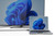 laser displayport to hdmi cable connecting laptop to large tv screen for extended display