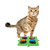 Cat pressing a talking button positioned in a green Tech4Pets mat