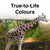 Laser portable monitor displaying vivid natural colours with a giraffe and forest image