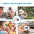 Laser Mini Digital Camera Pink for Kids capture life through their eyes